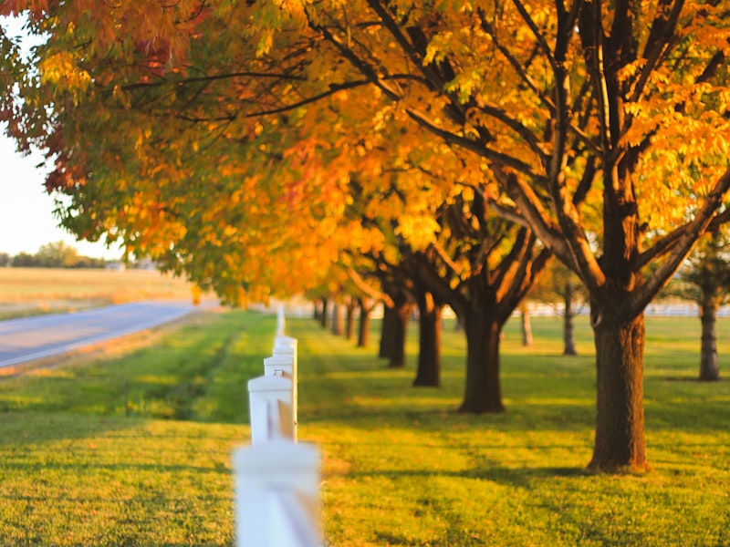 Höst — dags att förbereda för vintern