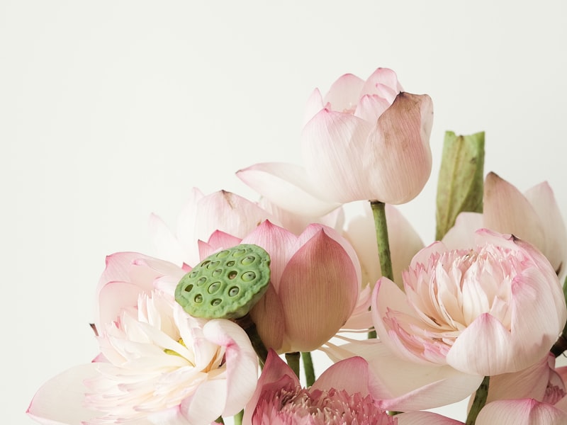 Vår — tid att förbereda bilen för sommaren